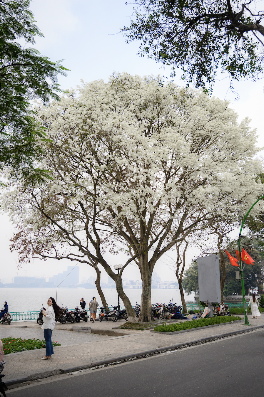 anh man hinh 2026 03 09 luc 164317