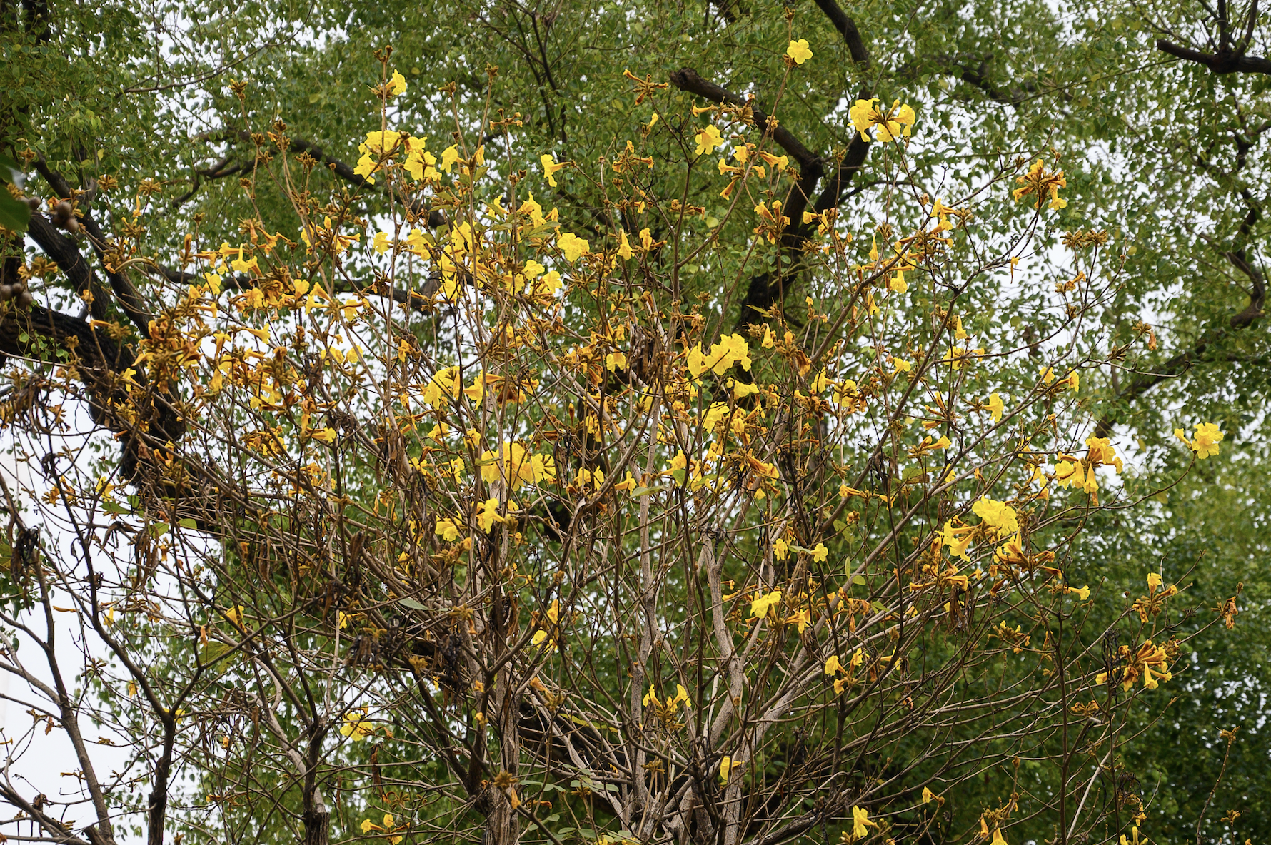 anh man hinh 2026 03 09 luc 164640