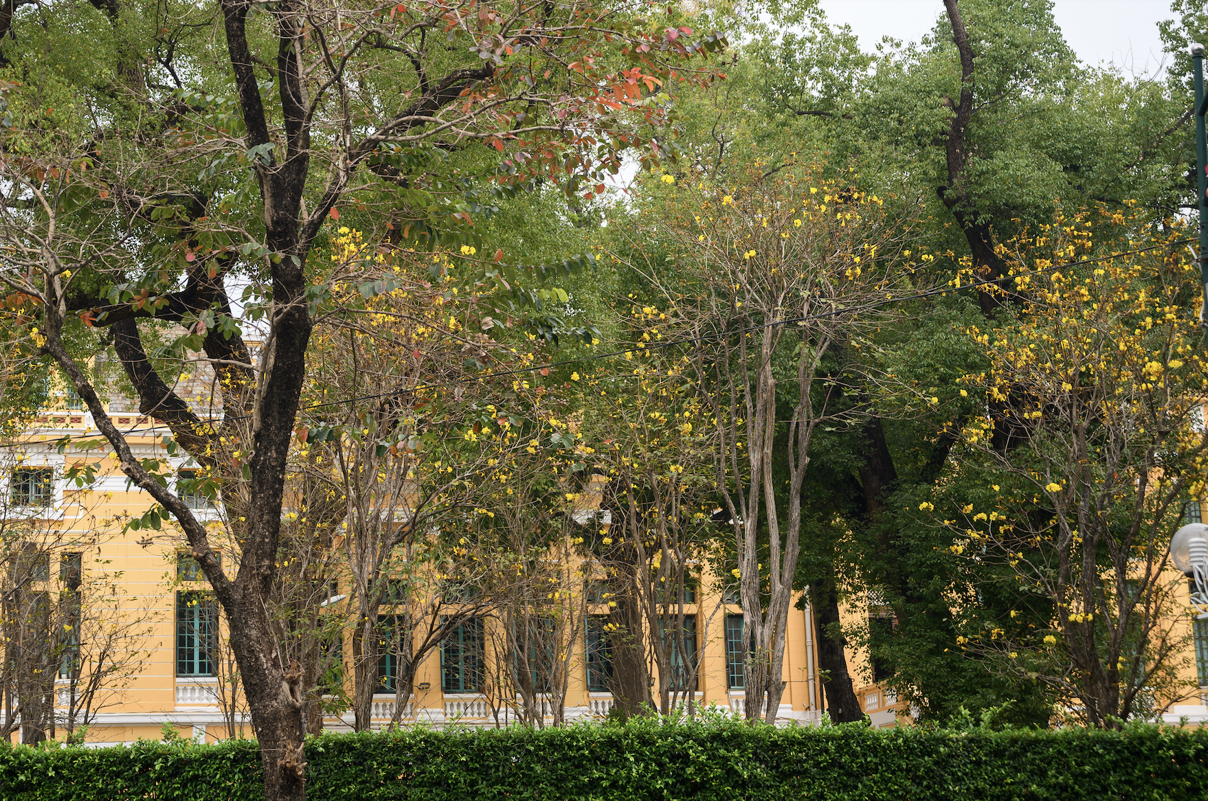 anh man hinh 2026 03 09 luc 164721