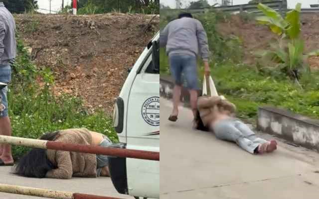 collage 235233 17730