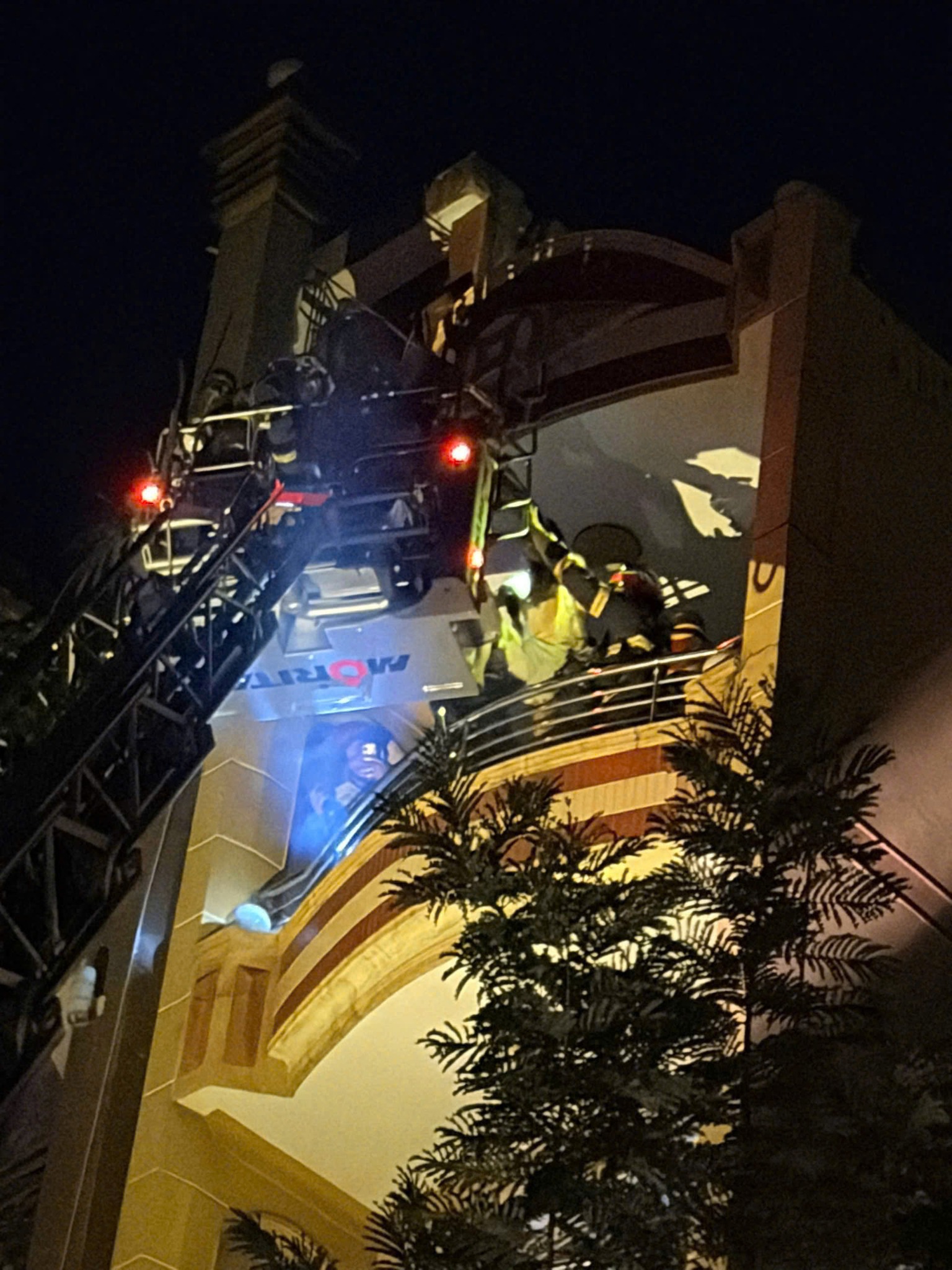 649245209251410781089016394622646282845089580n