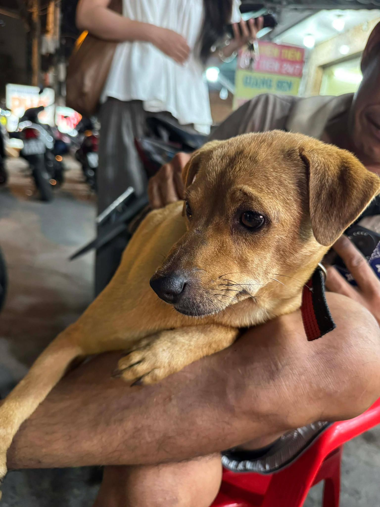 65066688214732733710235256715501858363597176n