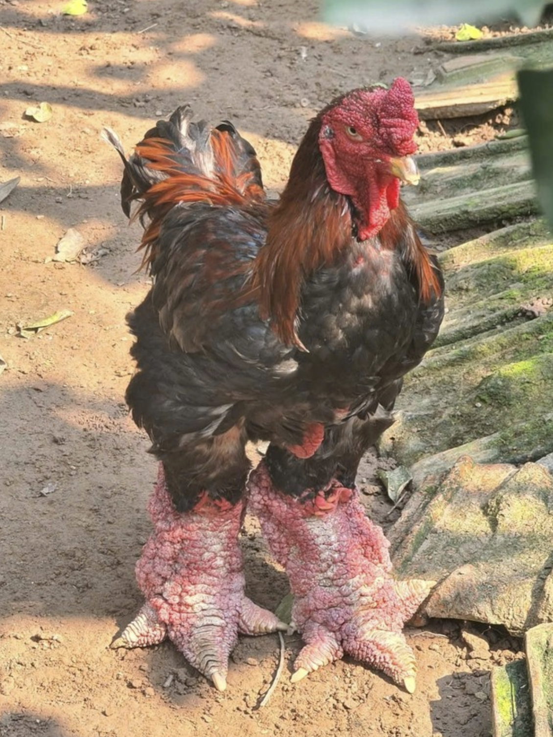 screenshot 2026 03 23 at 191009