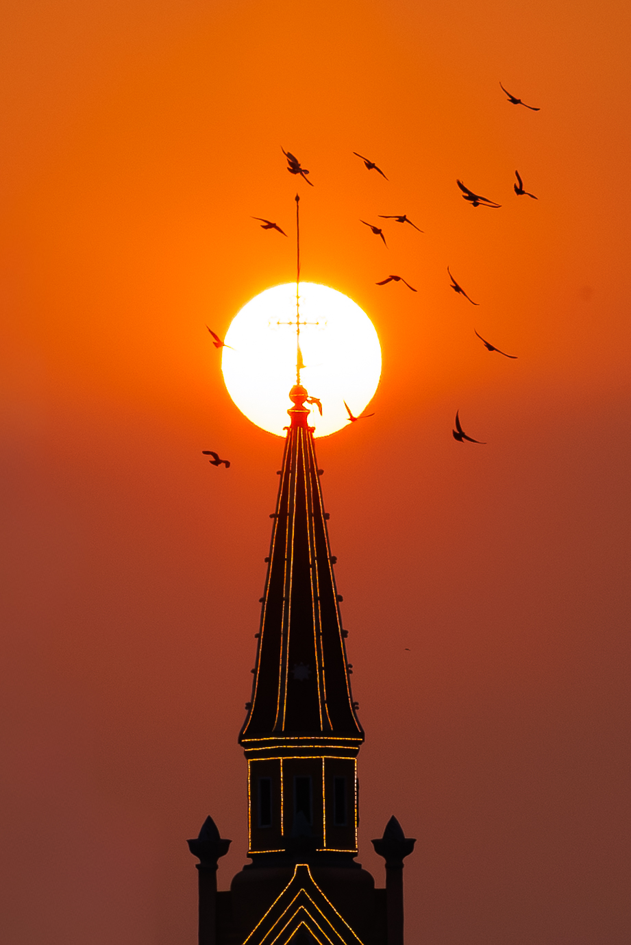 k14 24 1774281905819 1774281906174693132158