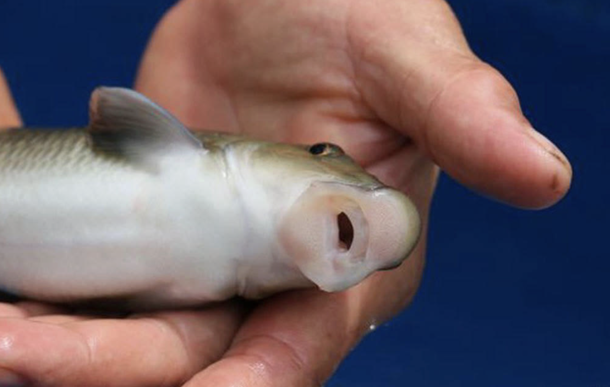 screenshot 2026 03 24 at 221500