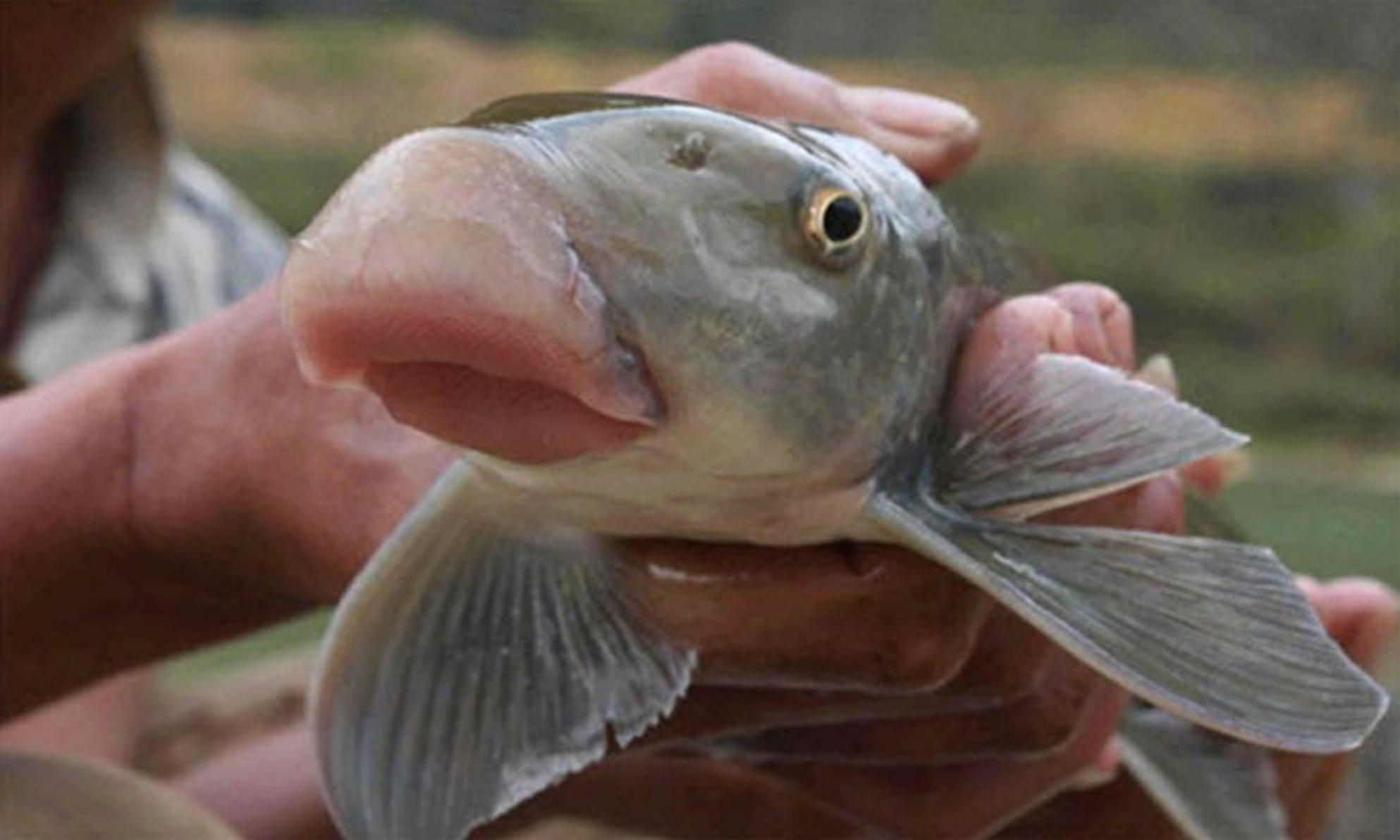 screenshot 2026 03 24 at 221525