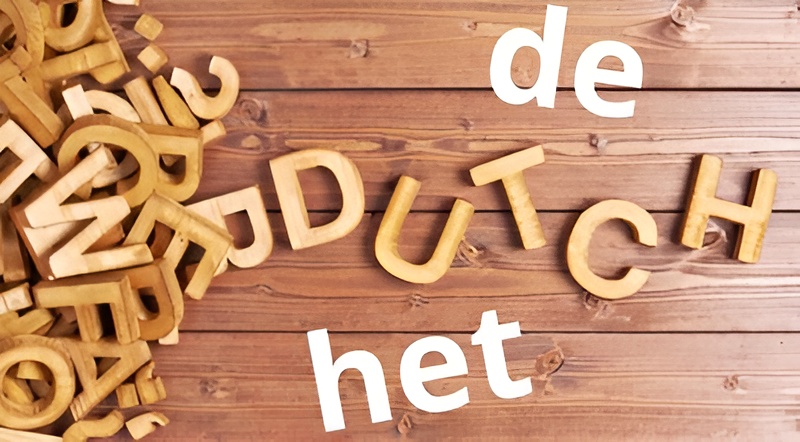 halan3 picsart aiimageenhancer