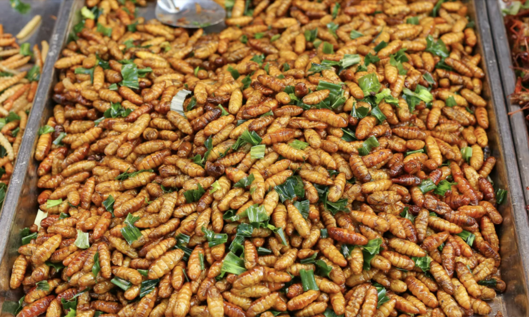 anh man hinh 2026 03 26 luc 211133