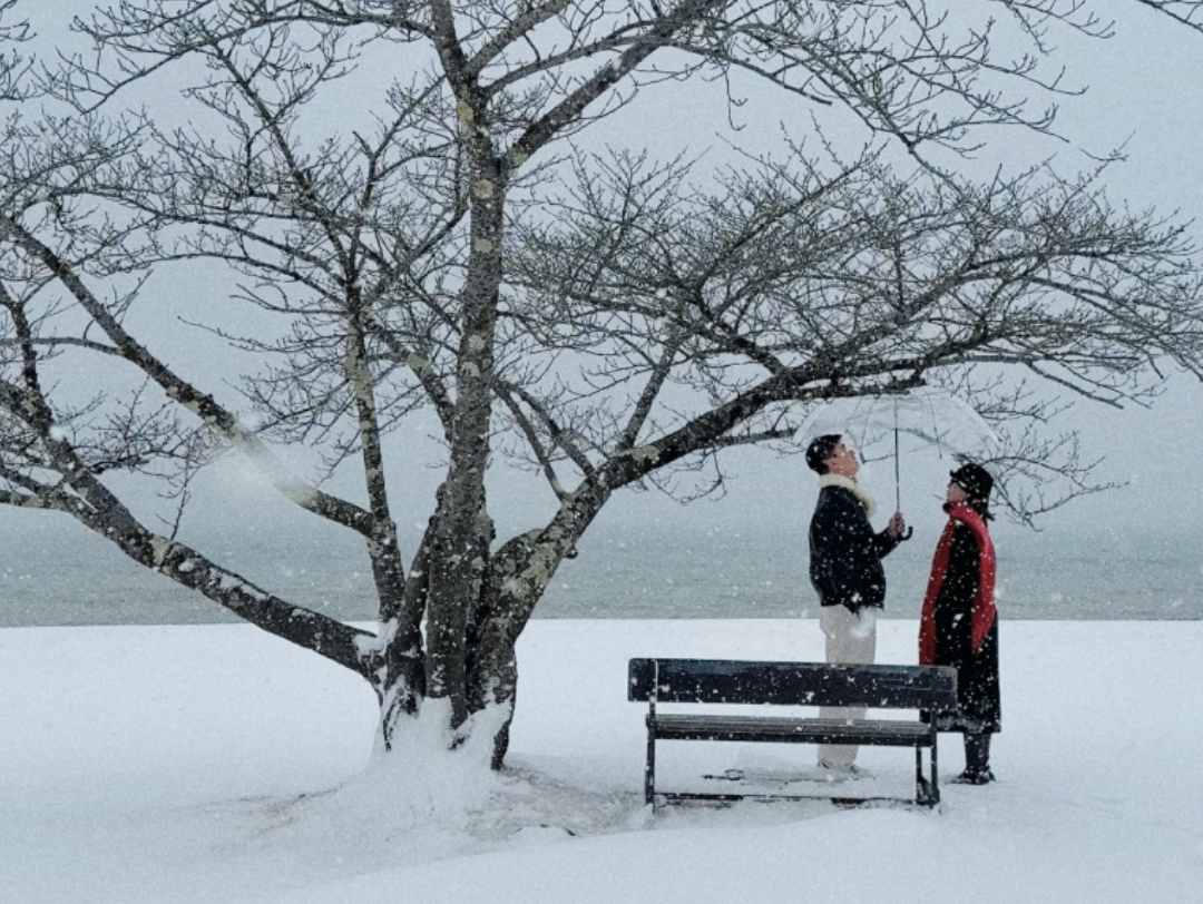 screenshot 2026 03 27 at 213532