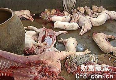 d0c8a786c9177f3e9c98779473cf3bc79e3d56ff bkimg processv1rw436rh300maxl412