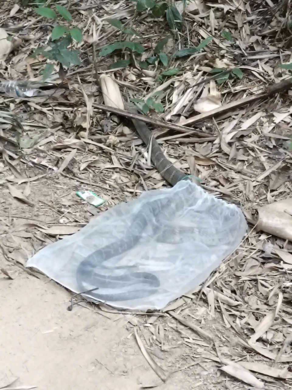 6625904081221208569871976434100450568100777777n