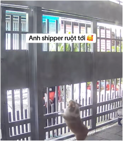 screenshot 2026 04 22 184401