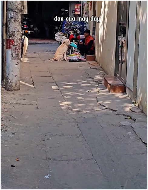 screenshot 2026 04 22 195119