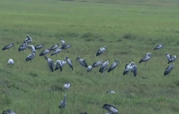 6791511759701772420705136910162916762544643n