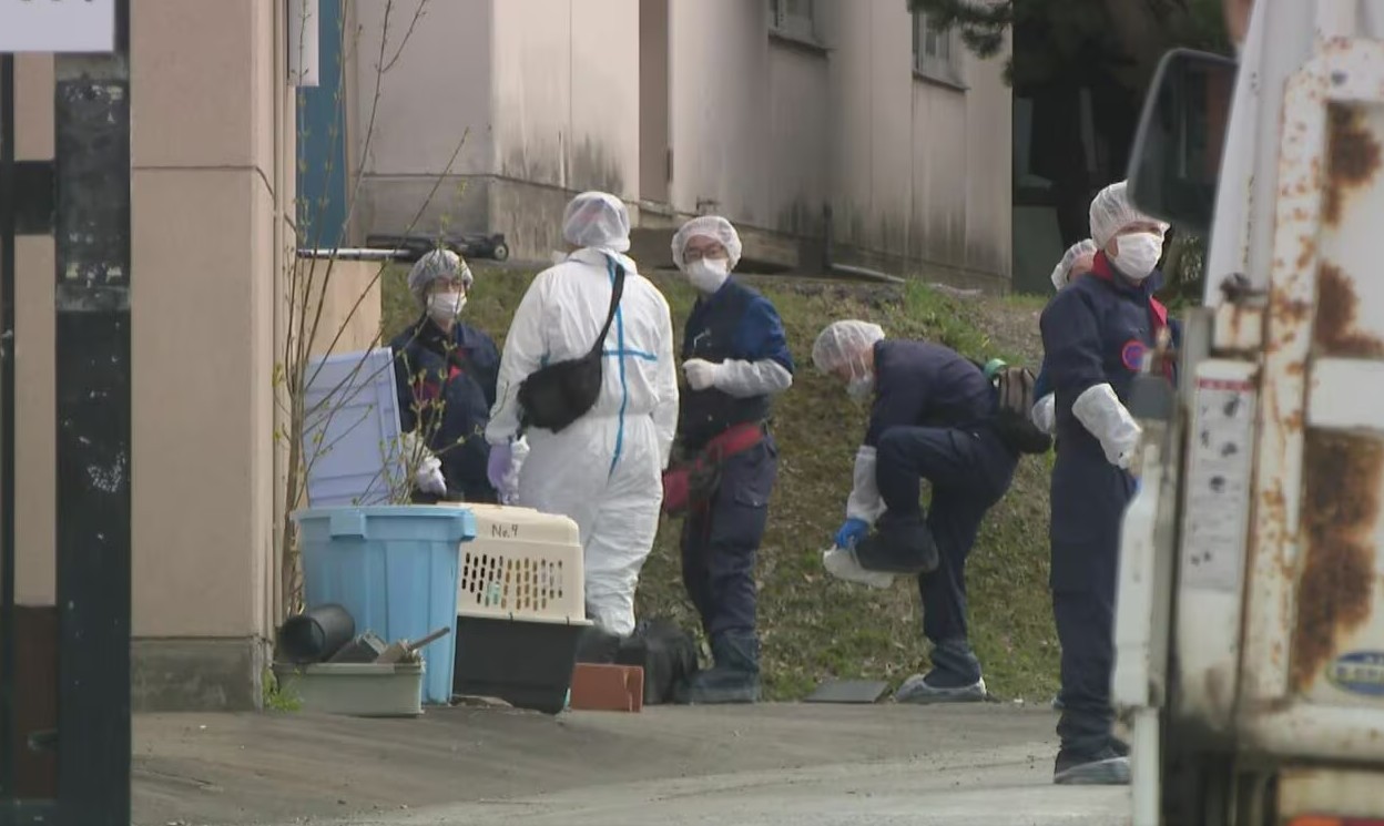 677938478994143936283347514552163858926190n