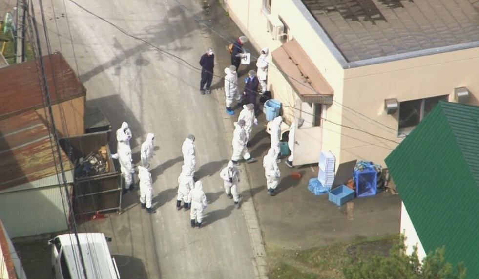 6782742979941438929500186964779319514055829n