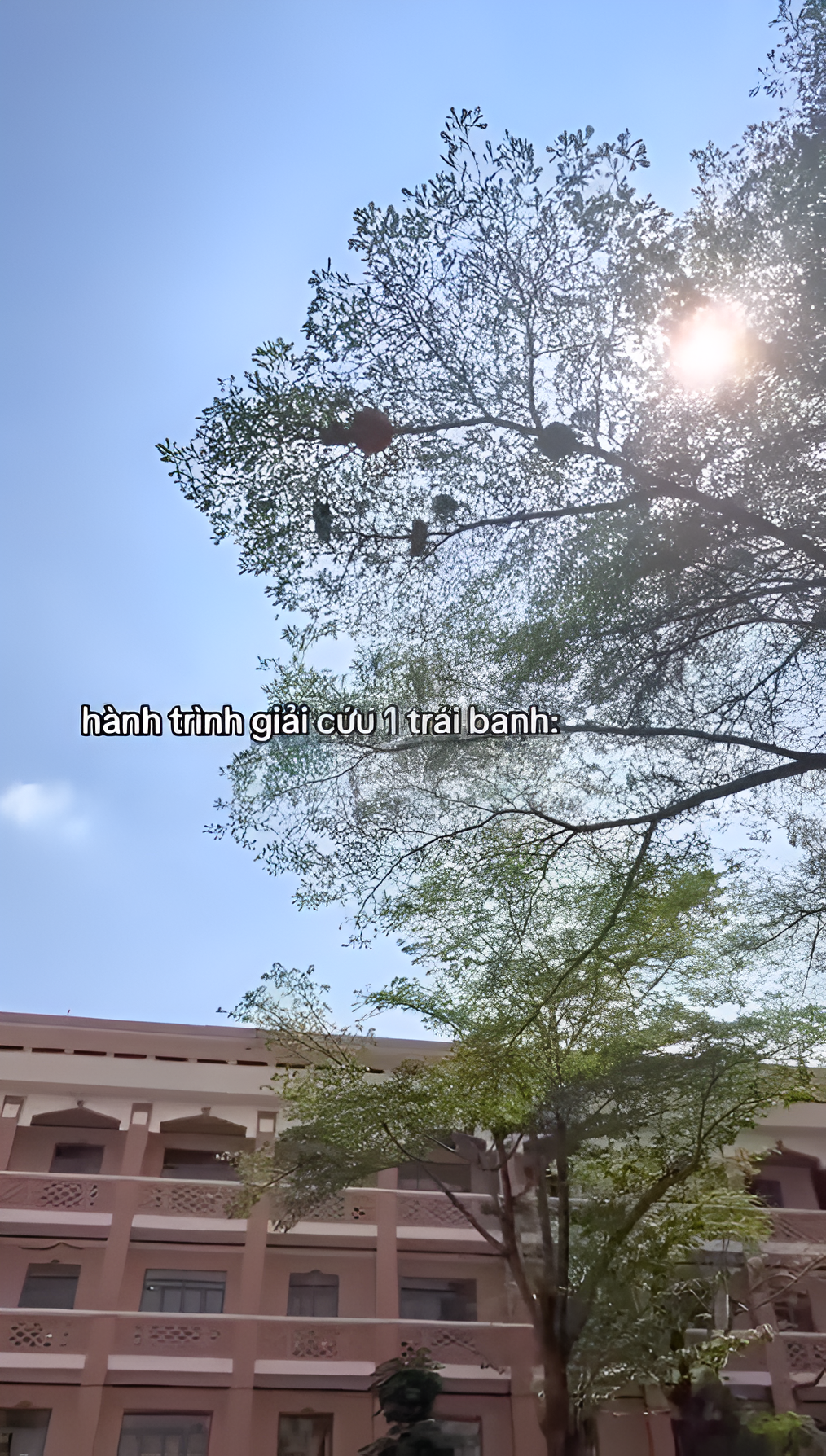 nh chup man hinh 2026 04 26 luc 001352 picsart aiimageenhancer