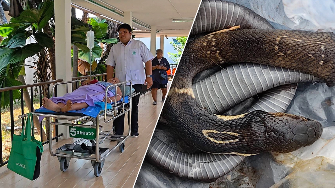 dfqror7owzulq5fa7hhggl8okeajxxlcdxtk5vljxovdvtsy1xz3fajvdlzfpgiy64u 1