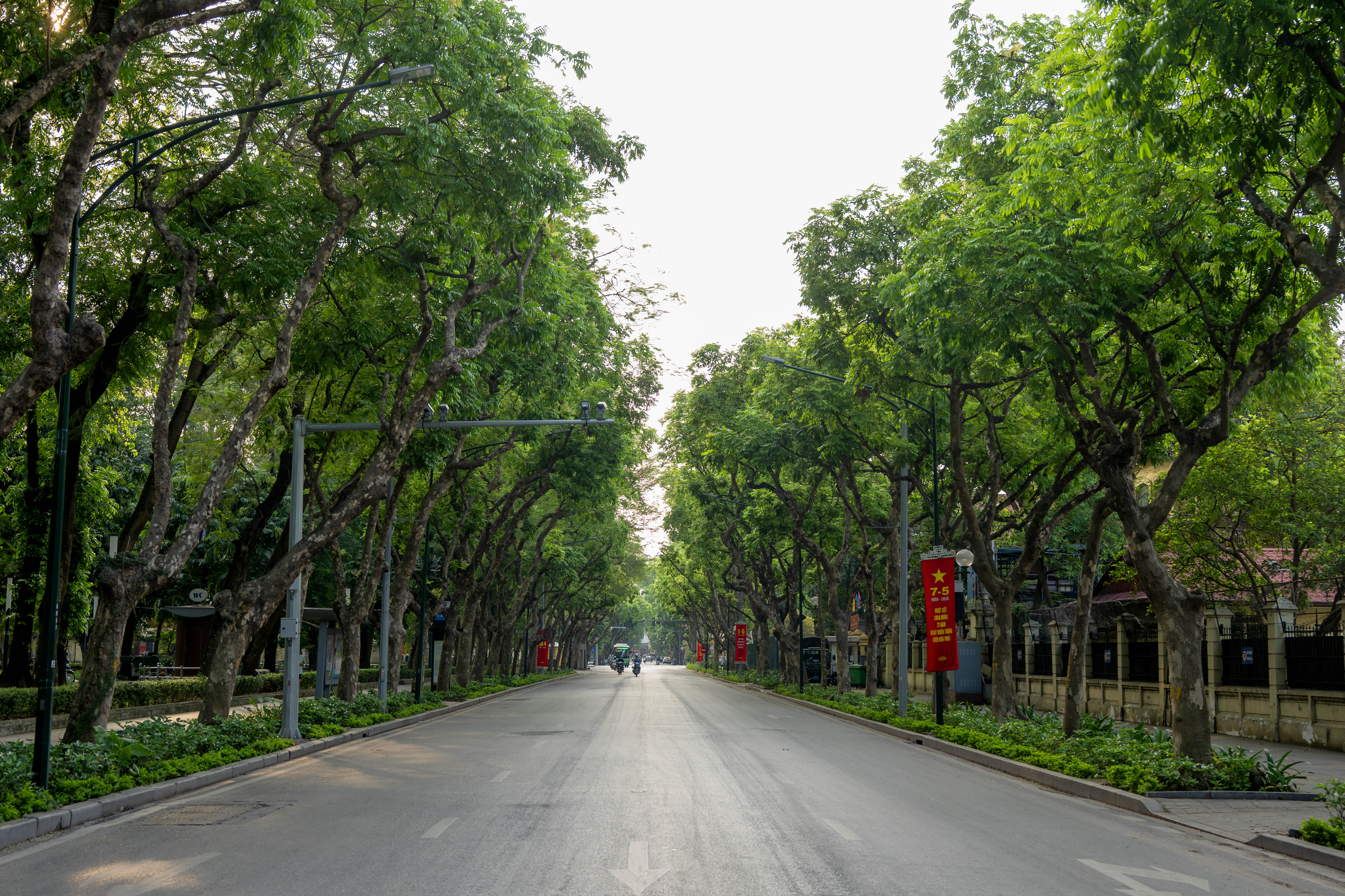 uong tran phu