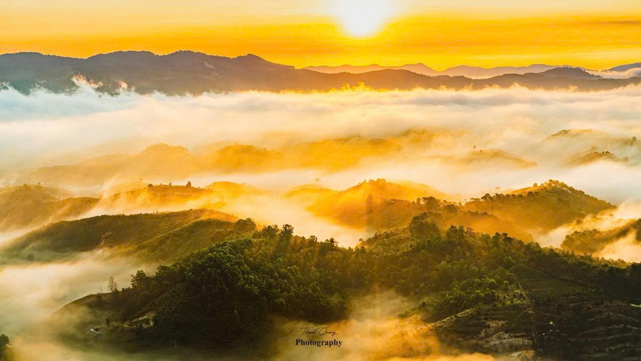 nh thanh quang1