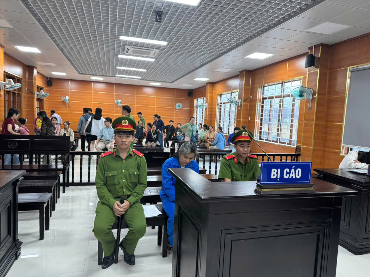ntq tai phien toa