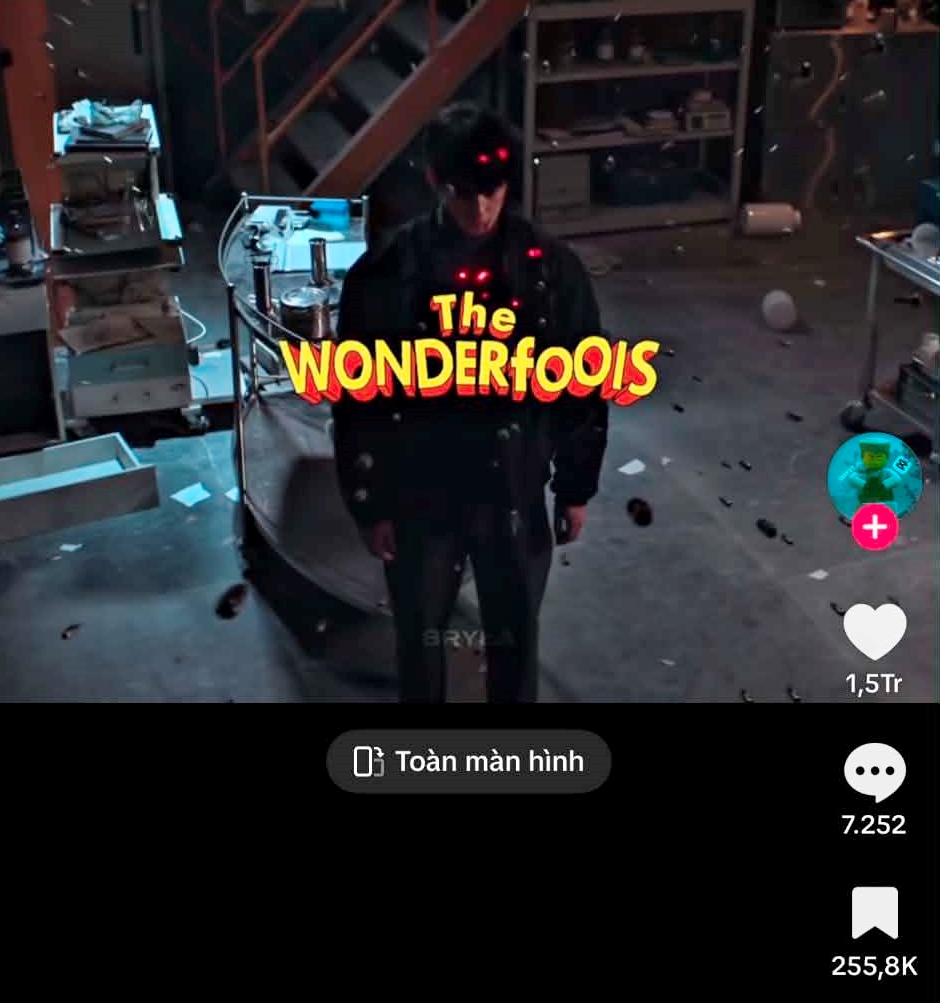 wonderfools22