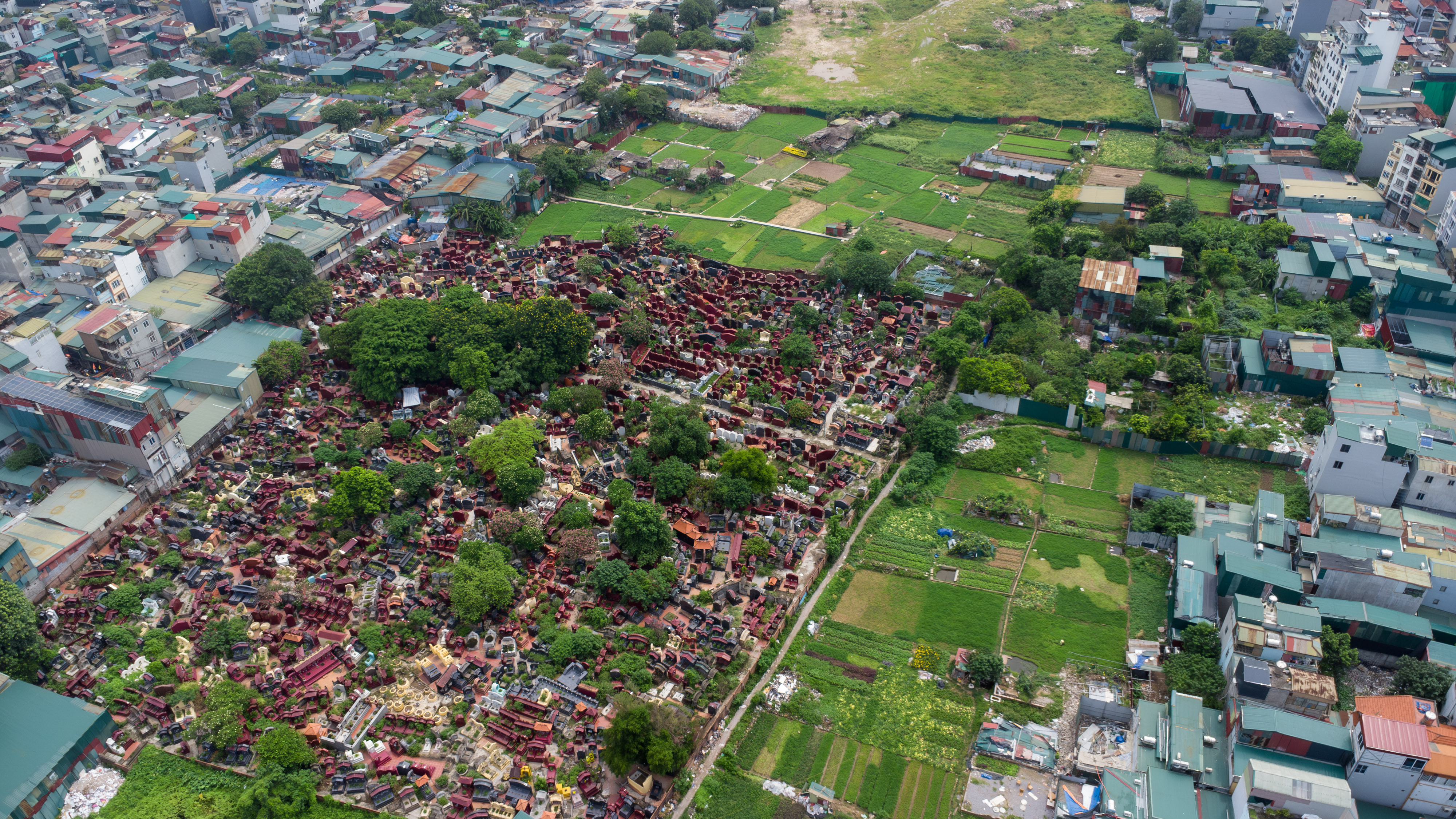 dji0296 copy