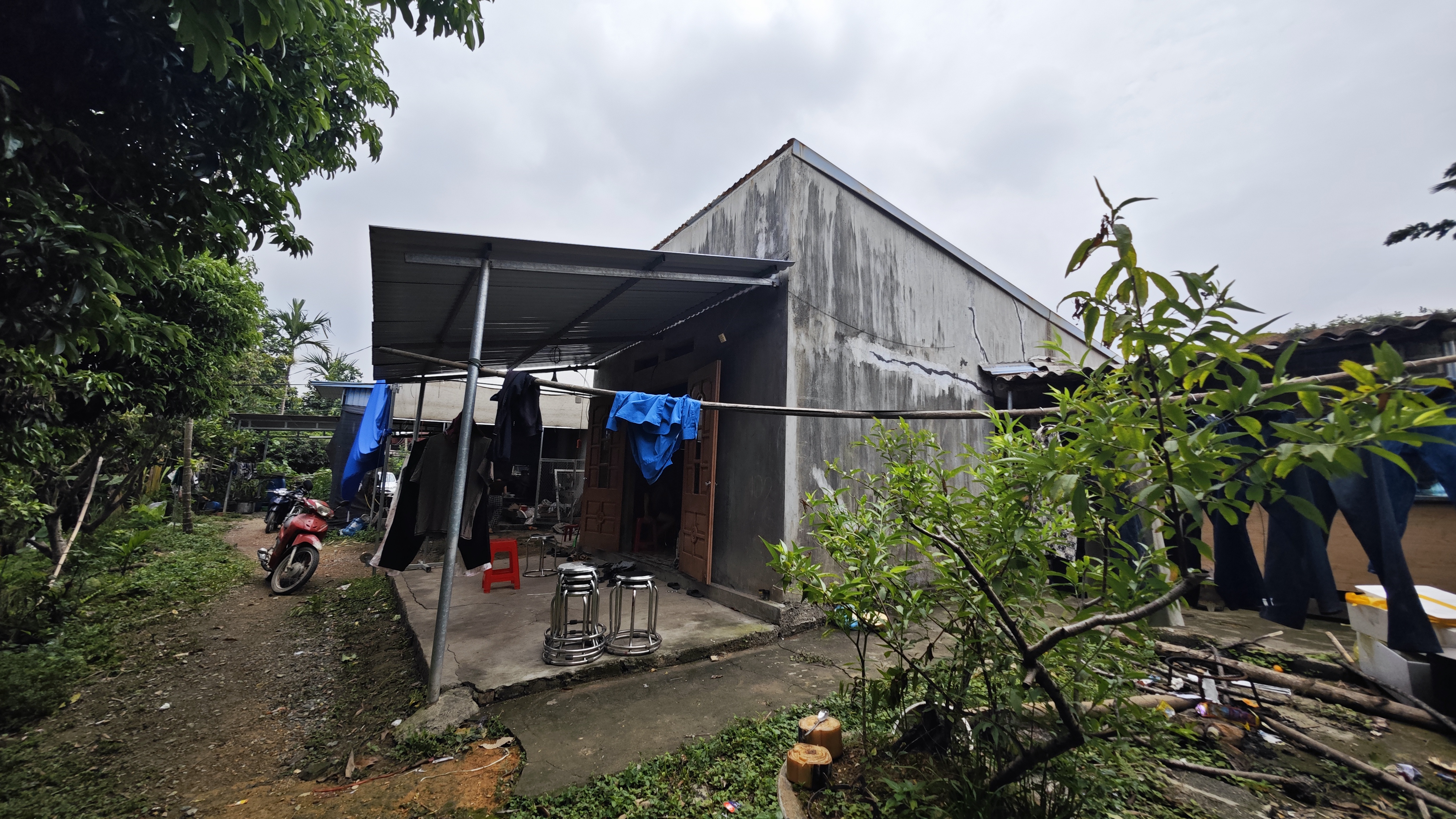 img20260621110831