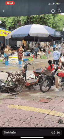 giphy 3