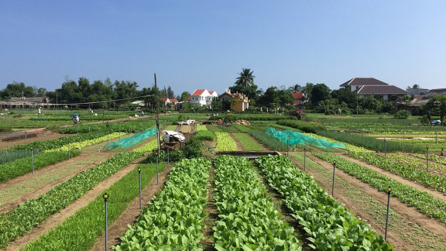 photo1jpg
