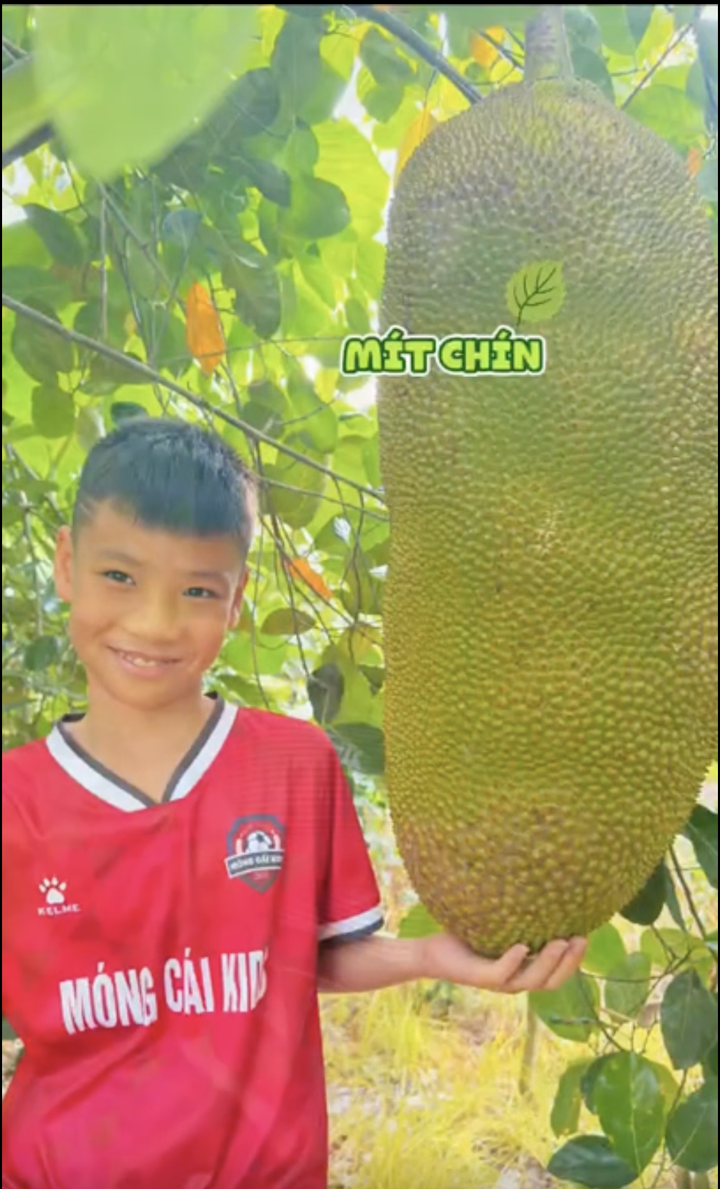 anh man hinh 2026 07 02 luc 233244