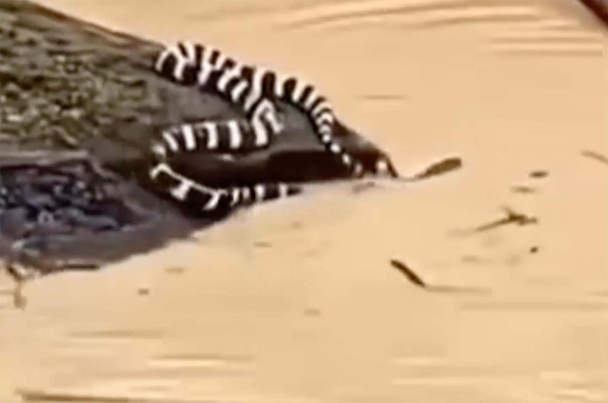 739699222276884699007718835682341860042589685n