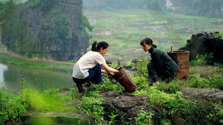 4744con gai ong chu vuon thuoc the chinese botanists daughters 2006 2