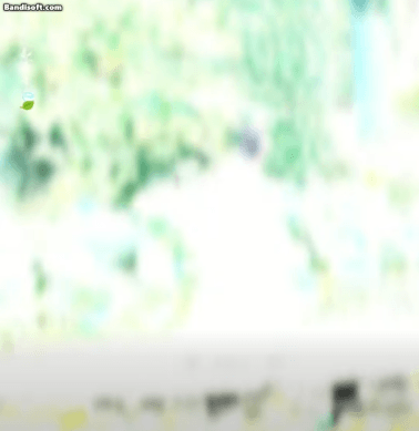 honeycam 2026 07 21 11 47 48
