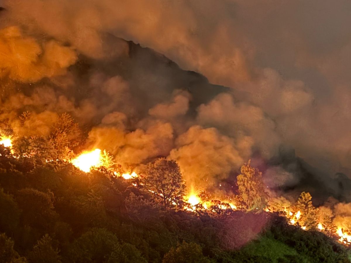 over 200000 evacuated as massive forest fires rage across europe emergency response intensifies