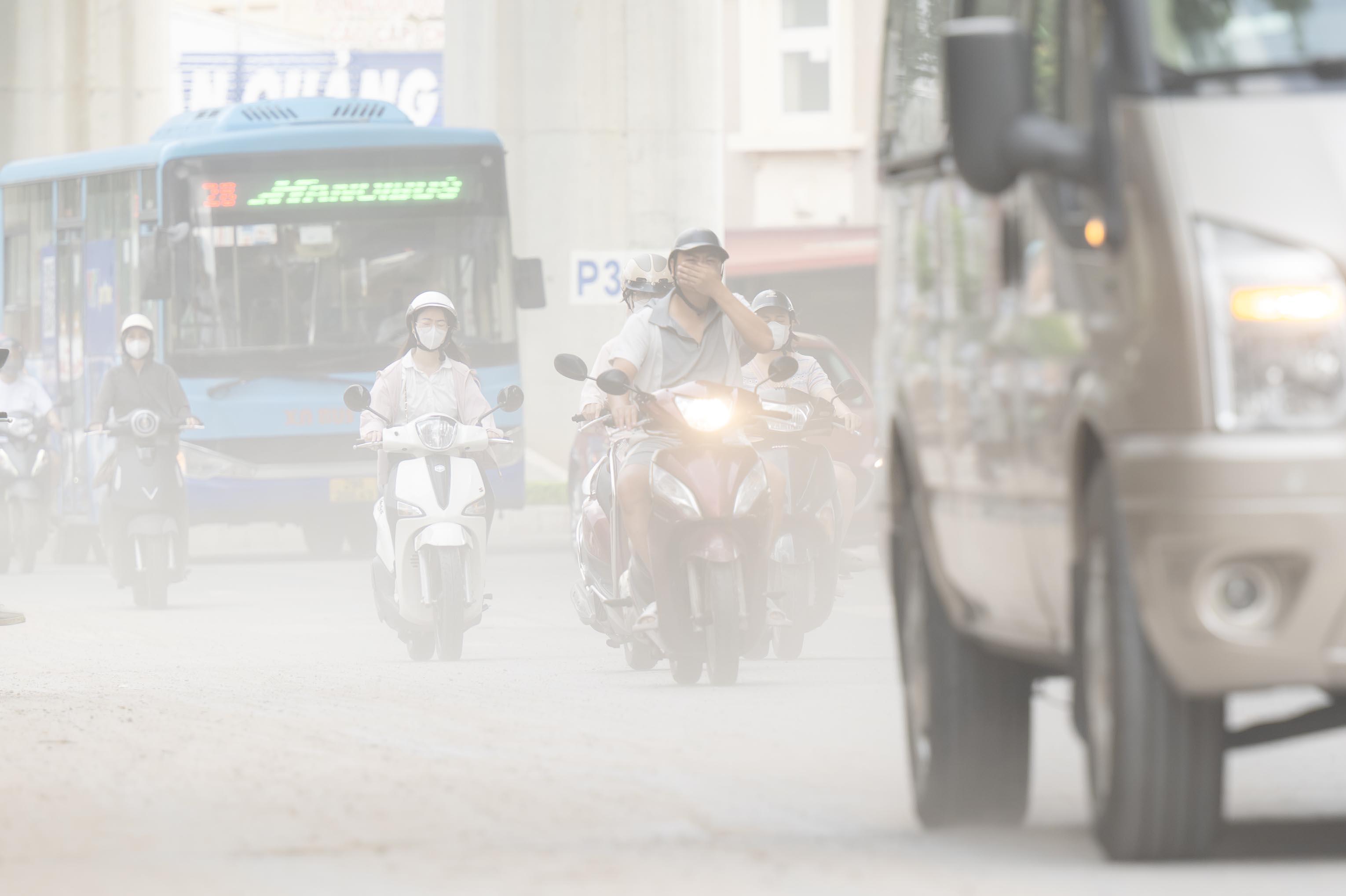 dsc7482
