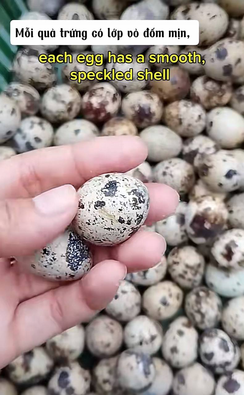 2026 08 15 222010
