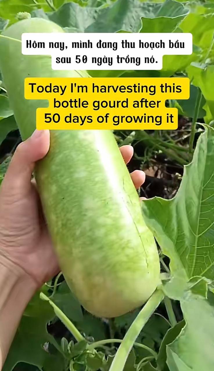 2026 08 15 222015