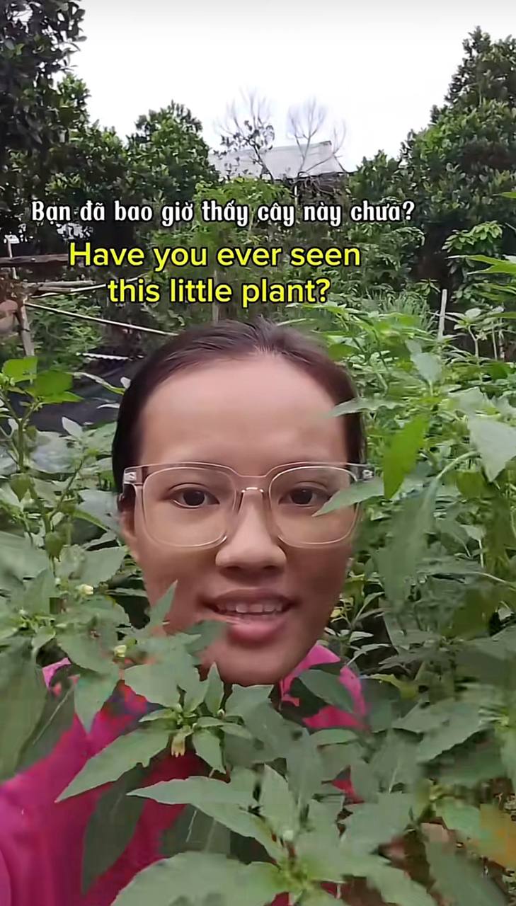 2026 08 15 222023