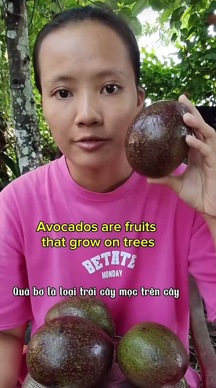 2026 08 15 222031