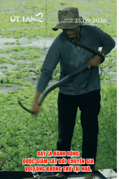 gif doc 52 2