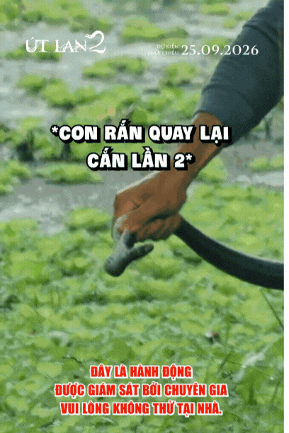 gif doc 53 1