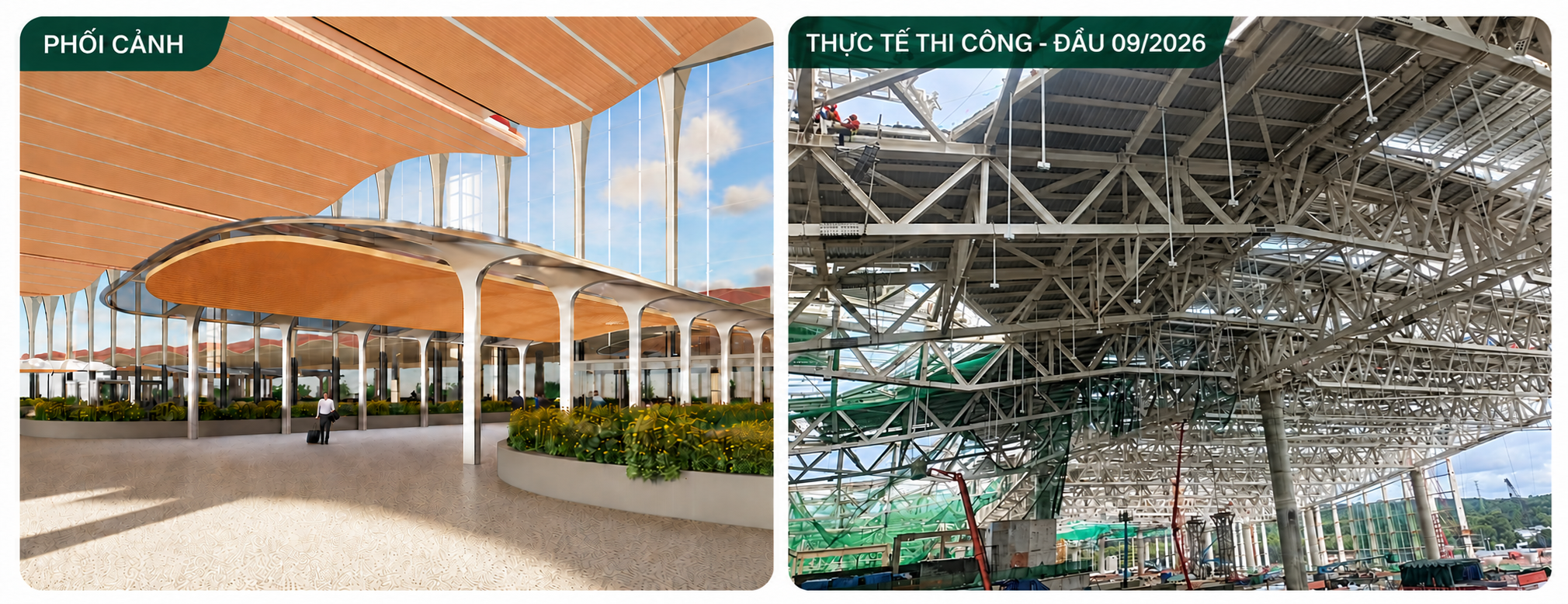 cang hang khong 3