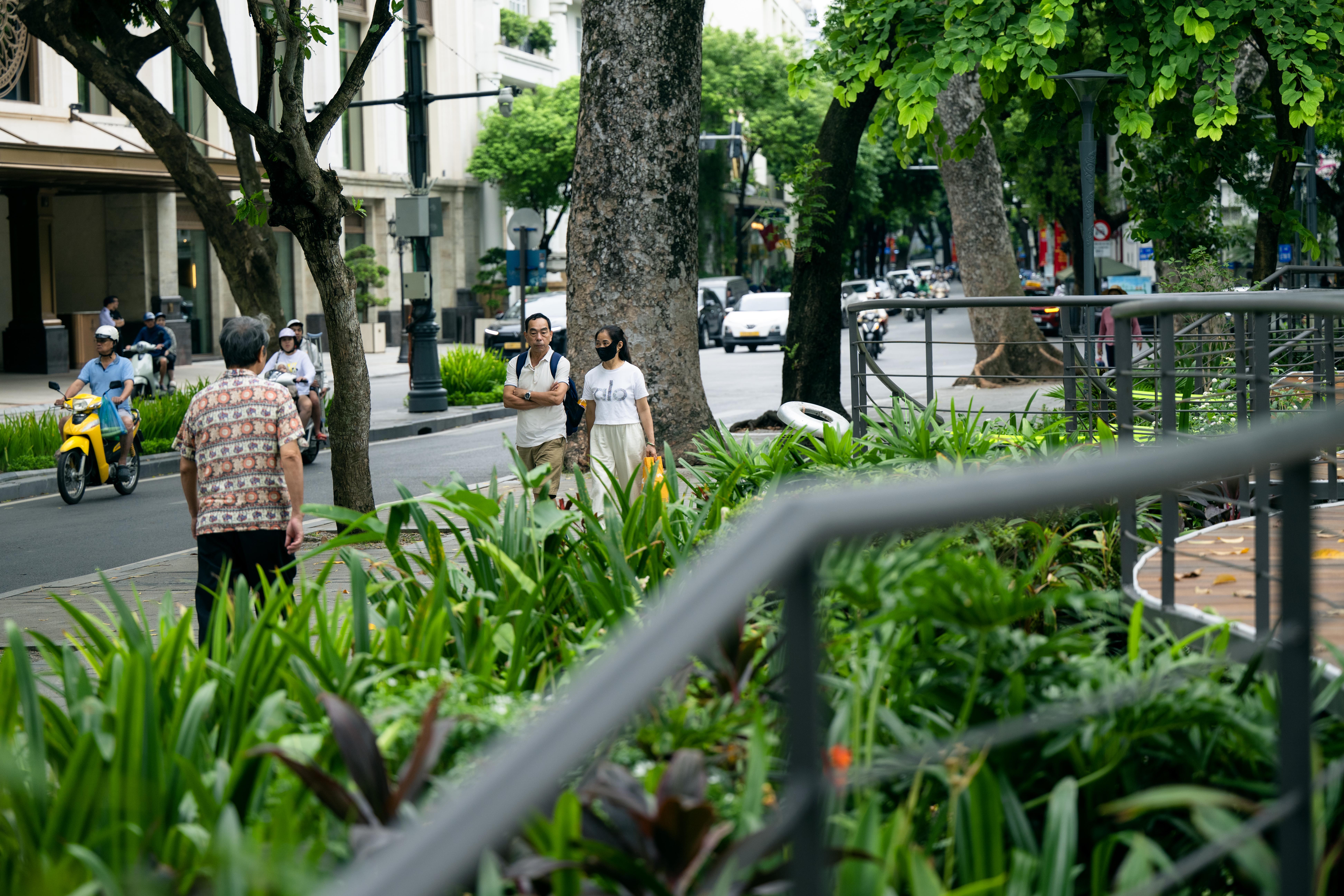 dsc3543