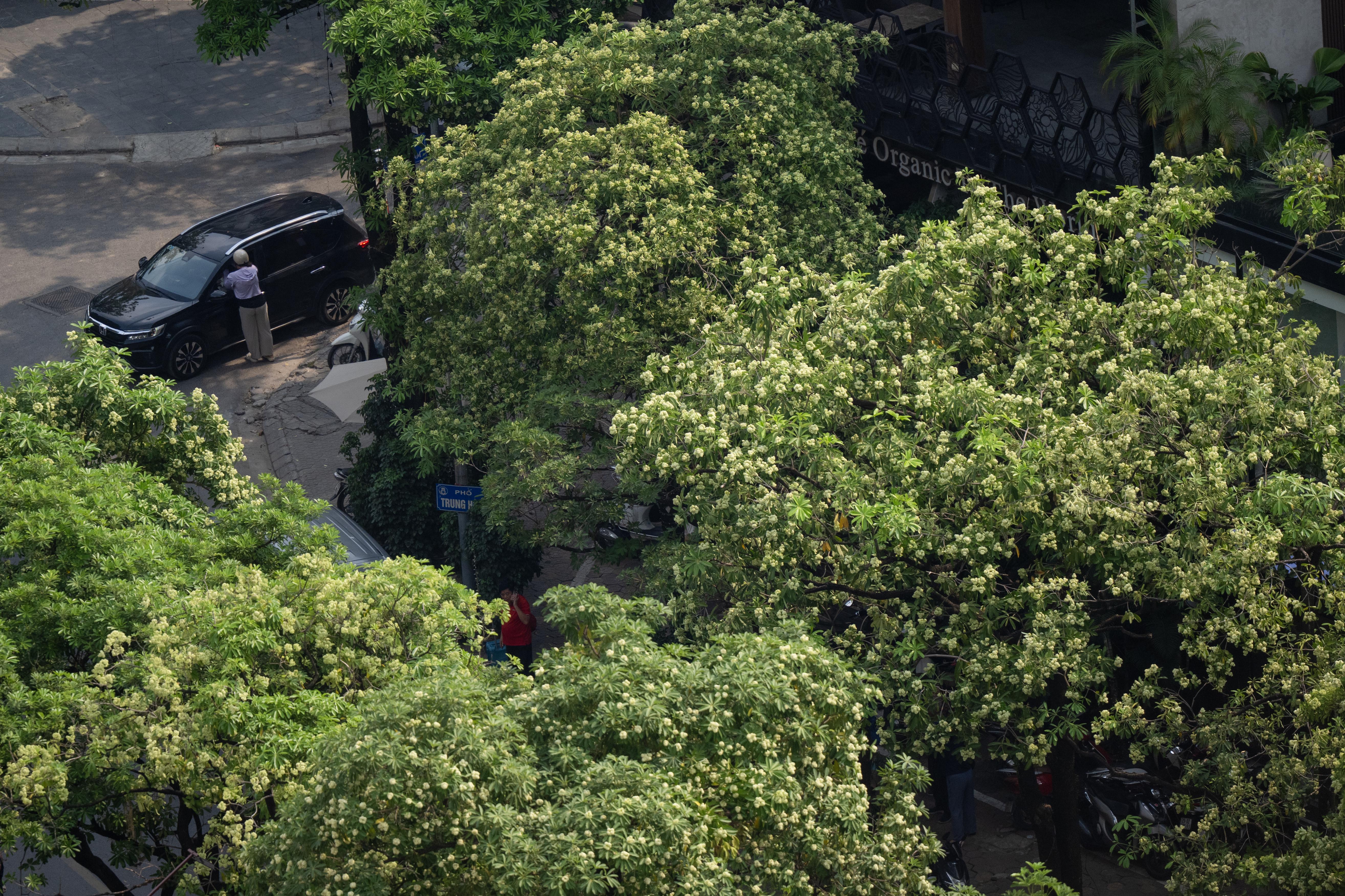 pho trung hoa3