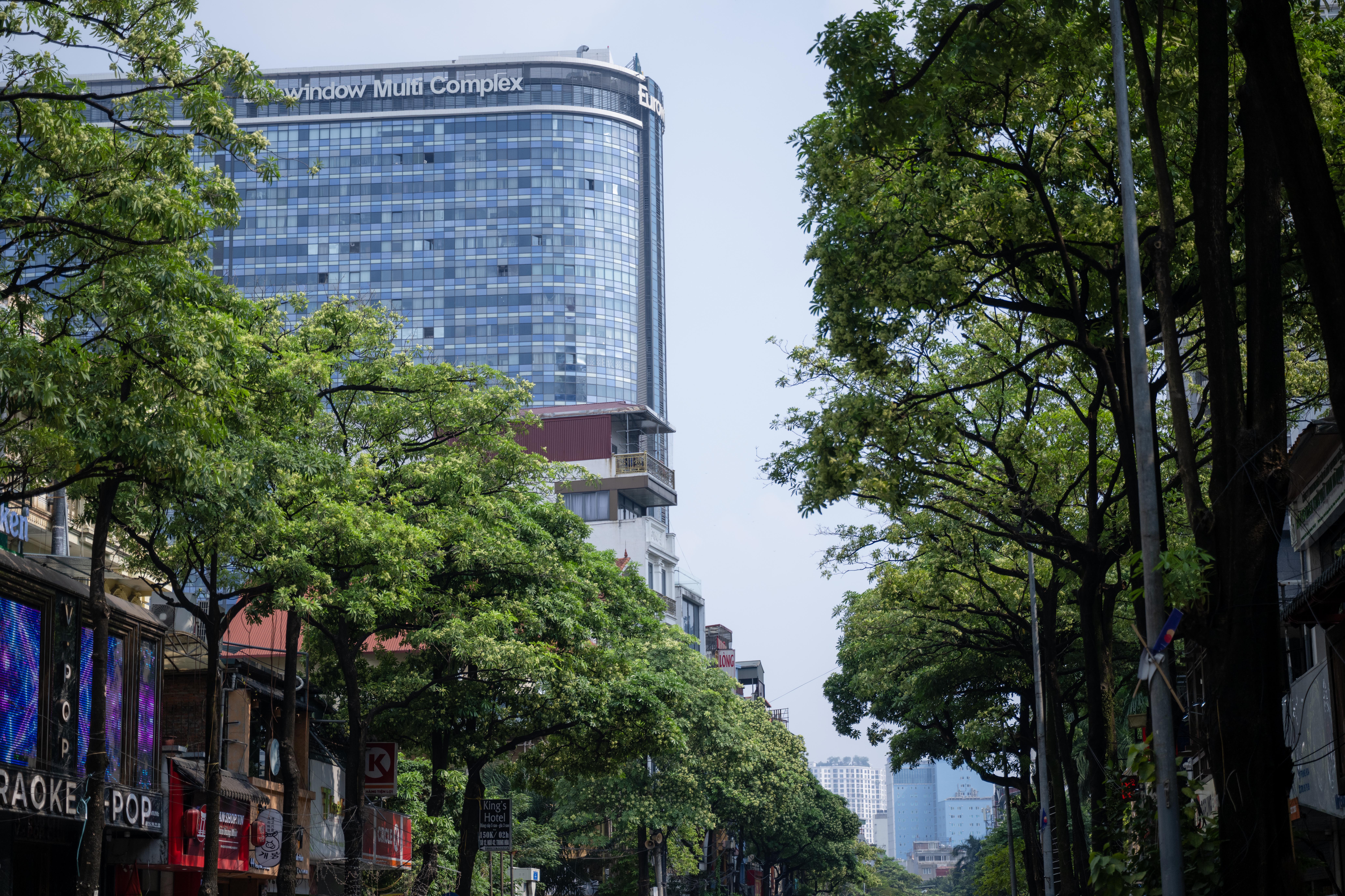 pho trung hoa7