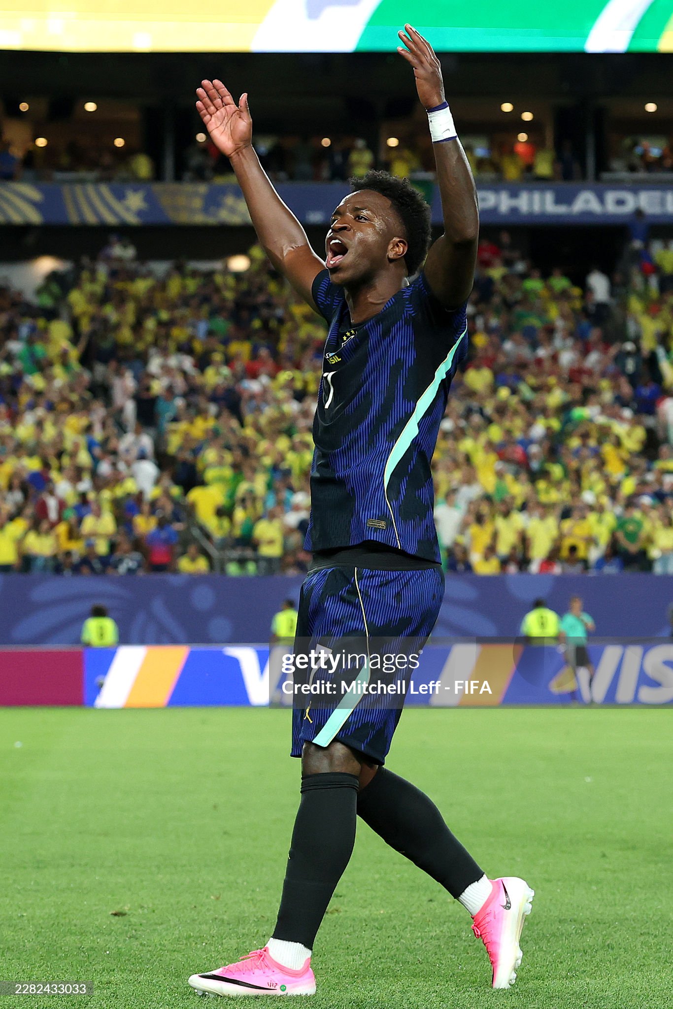 vinicius