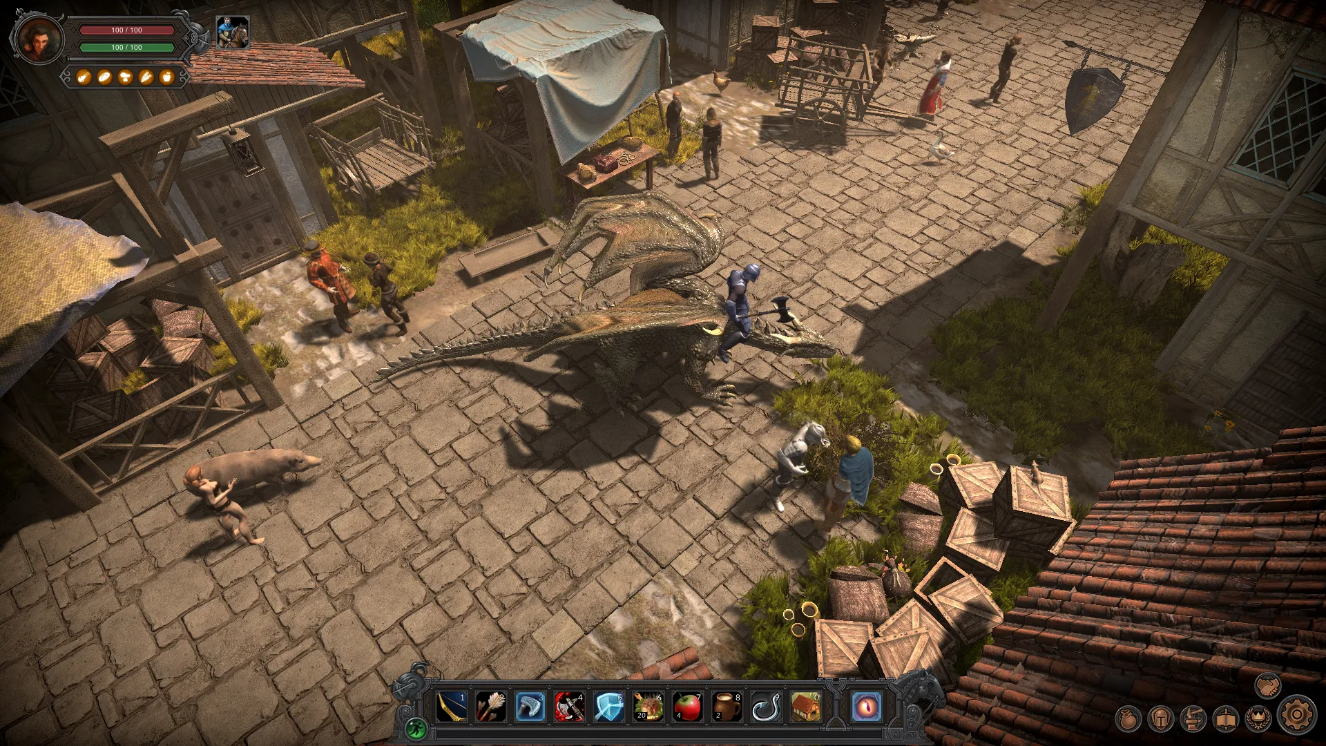 wildterra2 newlands 2