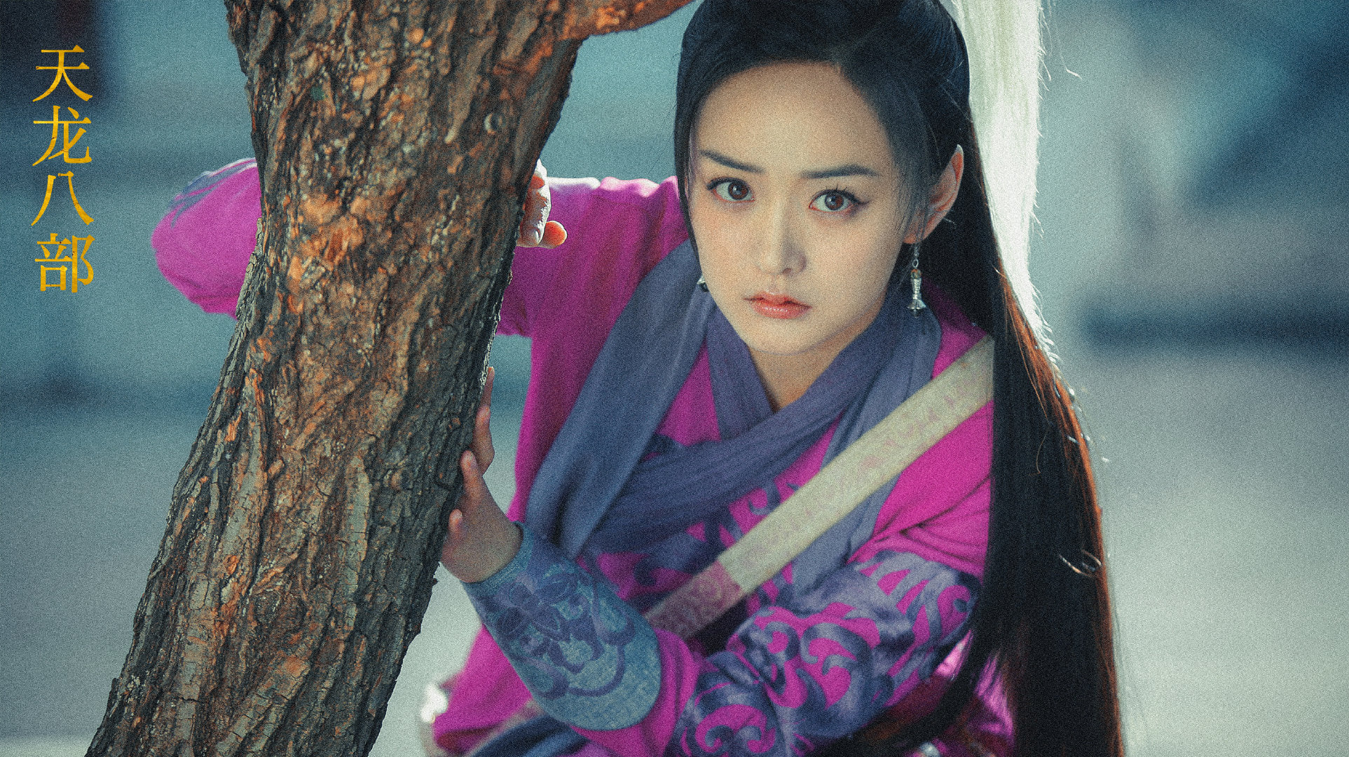 a tu thienlongbatbo 5