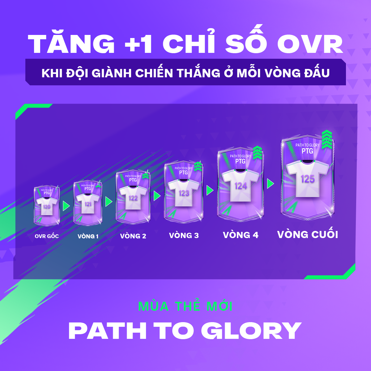 ptgtangchiso4b1200x1200